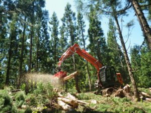 西置賜ふるさと森林組合