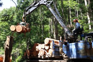 有限会社高菊林業